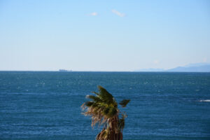 Dubrava_!